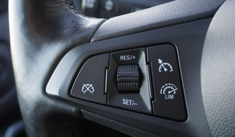 
								OPEL ZAFIRA full									